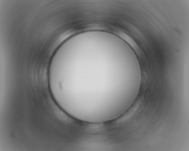 X0000114231055200910231500