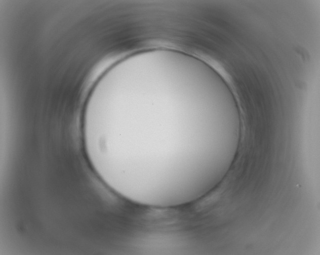 X0000114231056200910231500