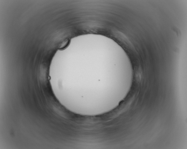X0000114231060200910231459