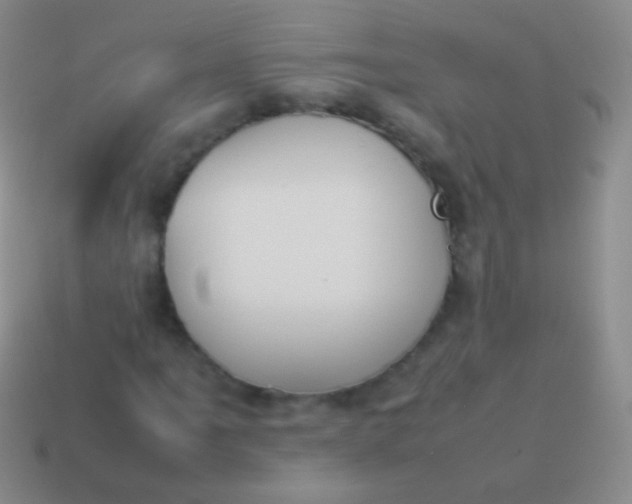 X0000114231061200910231459