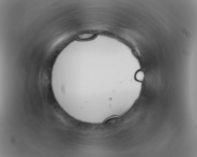 X0000114231064200910231459