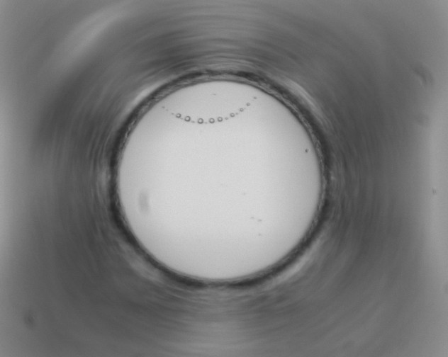 X0000114231065200910231459