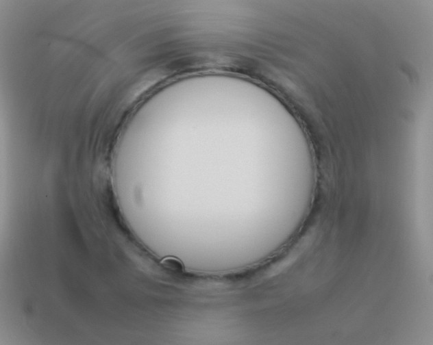 X0000114231073200910231459