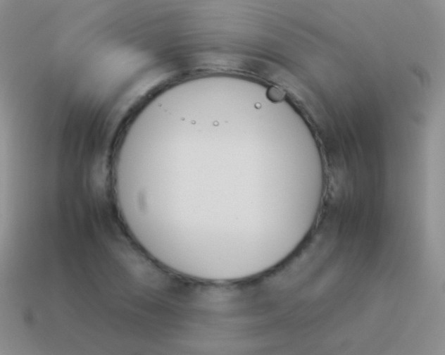 X0000114231074200910231458