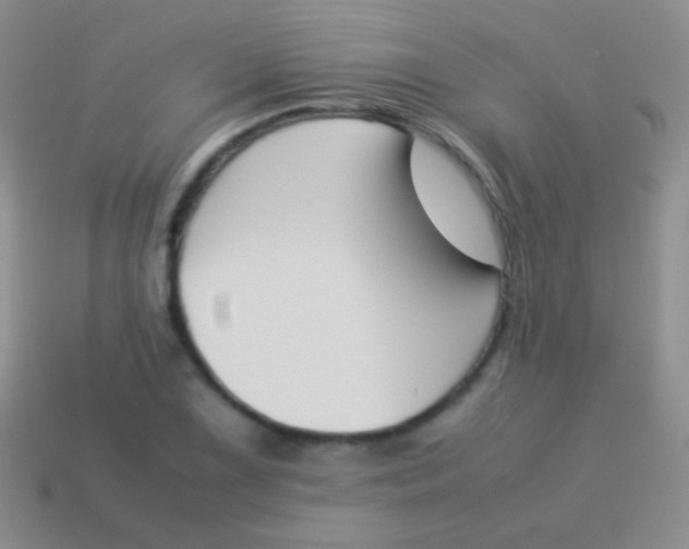 X0000114231075200910231458