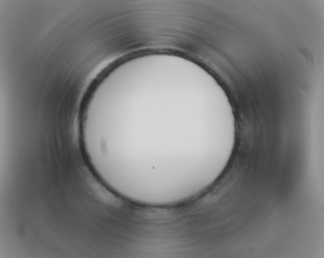 X0000114231076200910231458