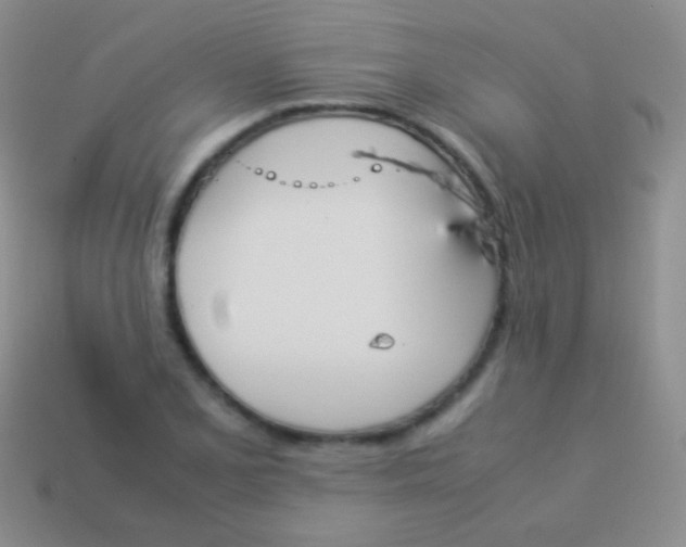 X0000114231077200910231458