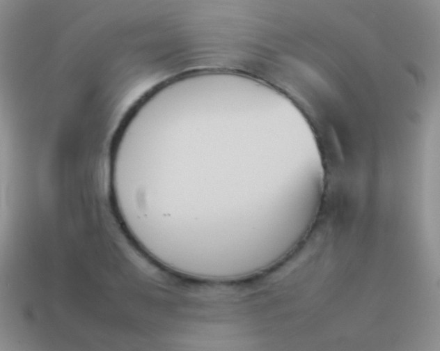 X0000114231079200910231458