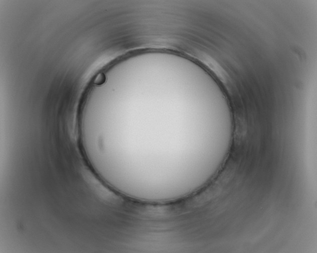 X0000114231080200910231458