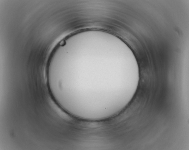 X0000114231084200910231458