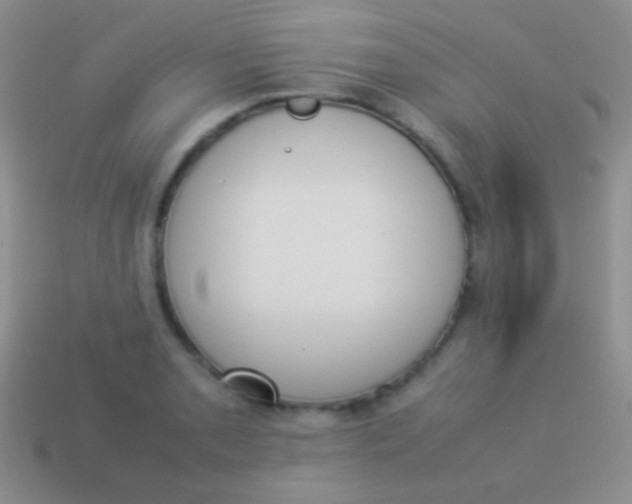X0000114231085200910231458