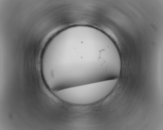 X0000114231088200910231458