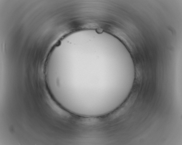 X0000114231090200910231458