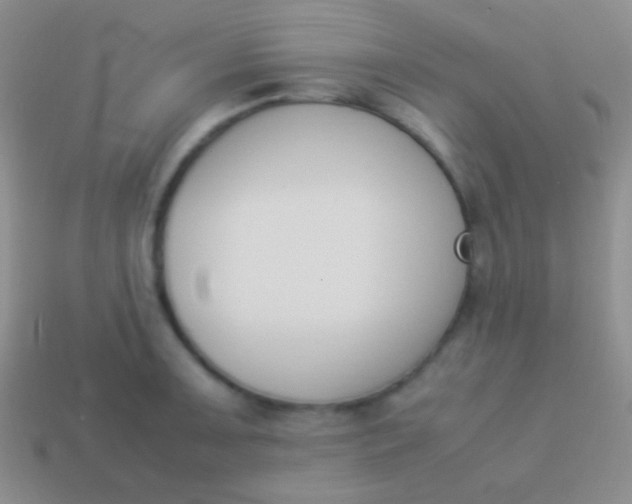 X0000114231091200910231458
