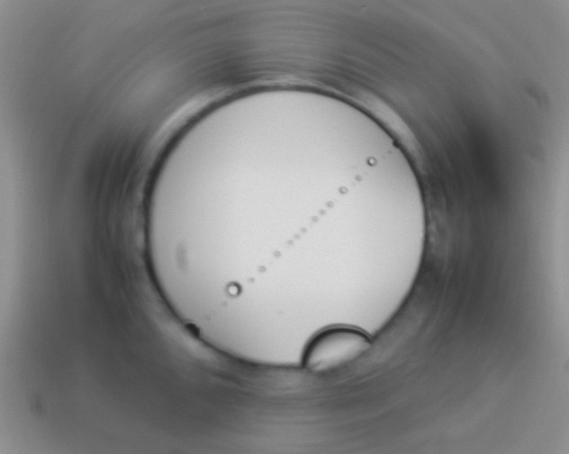 X0000114231096200910231458