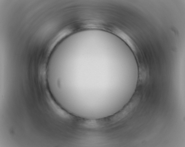X0000114231098200910231458