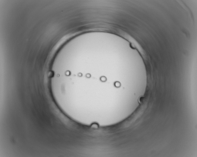 X0000114231099200910231458