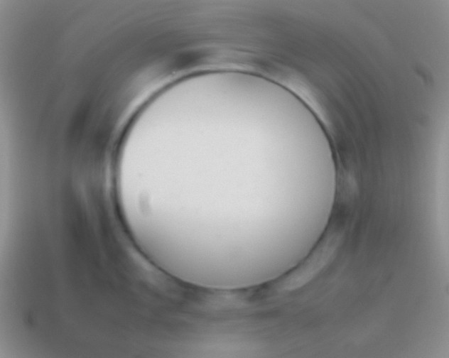 X0000114231101200910231458