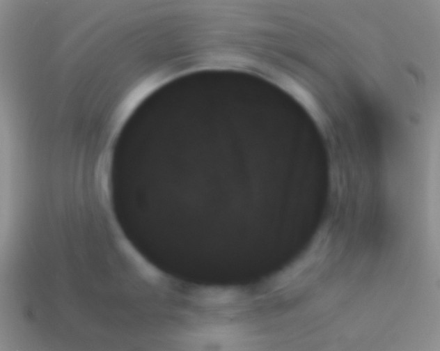 X0000114231103200910231458