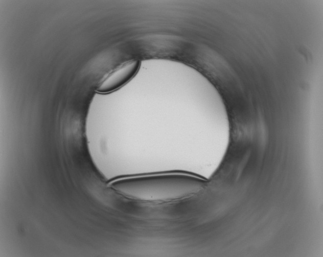 X0000114231108200910231458