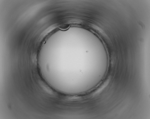 X0000114231113200910231458