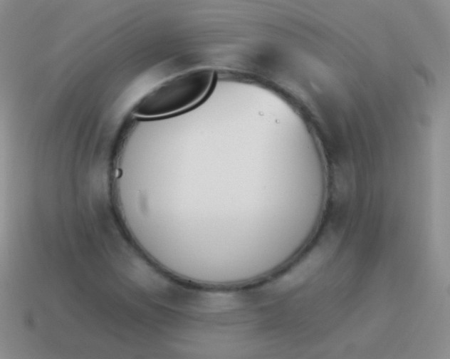 X0000114231114200910231458