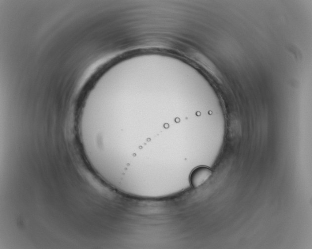 X0000114231116200910231458