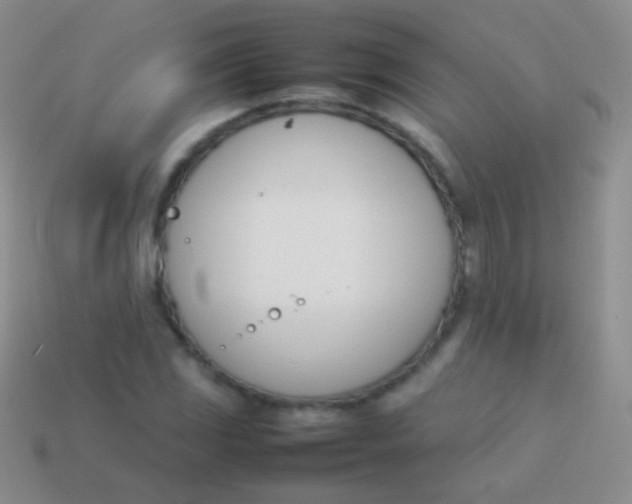 X0000114231117200910231458