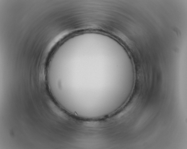 X0000114231118200910231458