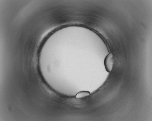 X0000114231119200910231458