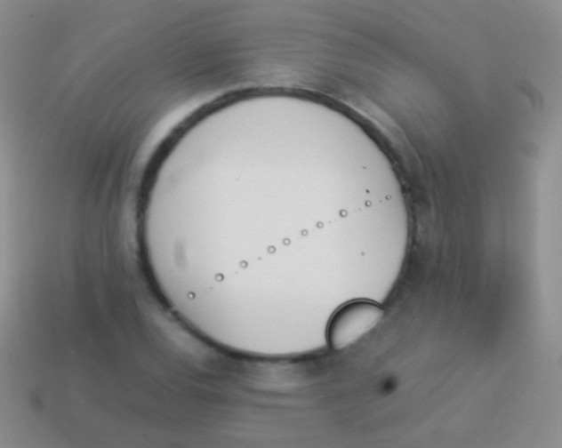 X0000114231120200910231458
