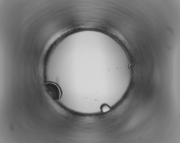 X0000114231122200910231458