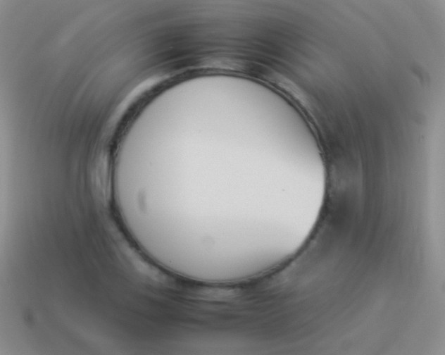 X0000114231123200910231458