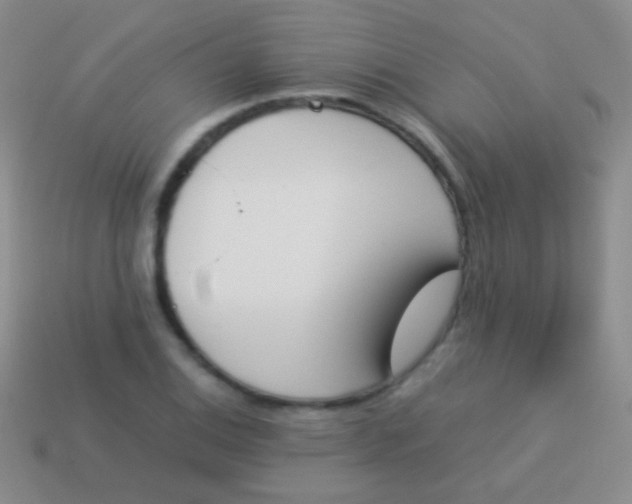 X0000114231124200910231458