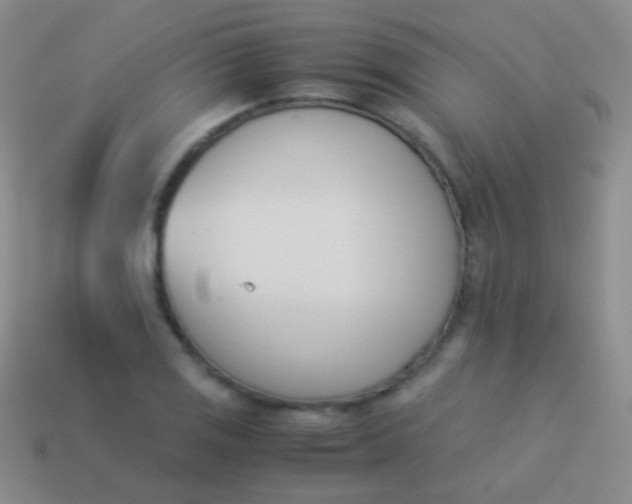 X0000114231125200910231458