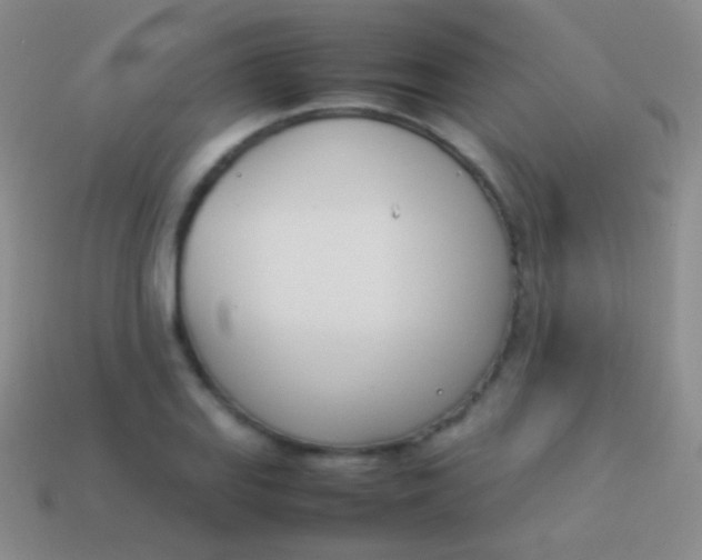 X0000114231127200910231458