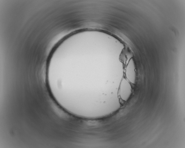X0000114231128200910231458