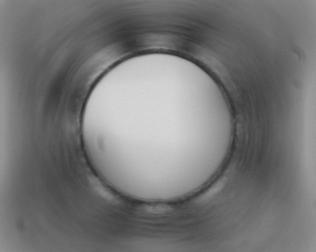 X0000114231129200910231458