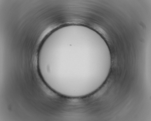X0000114231130200910231458