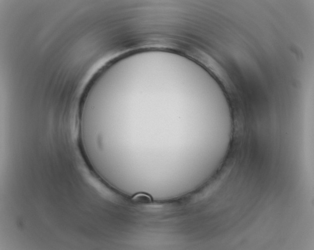 X0000114231132200910231458