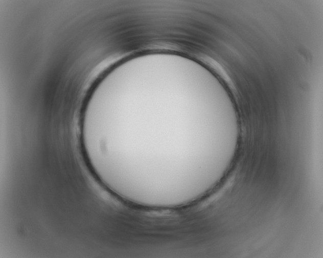 X0000114231133200910231458
