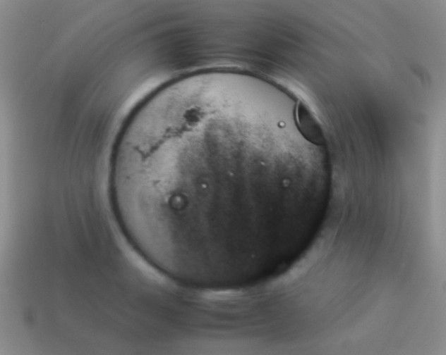 X0000114231135200910231458