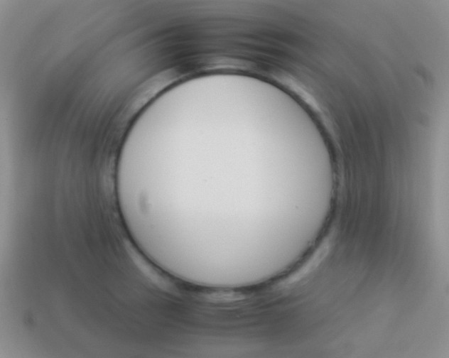 X0000114231137200910231458