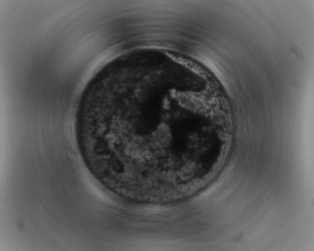 X0000114231139200910231458