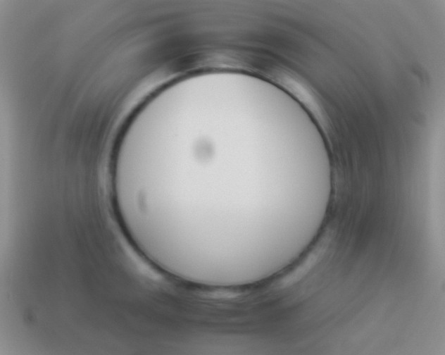 X0000114231141200910231458