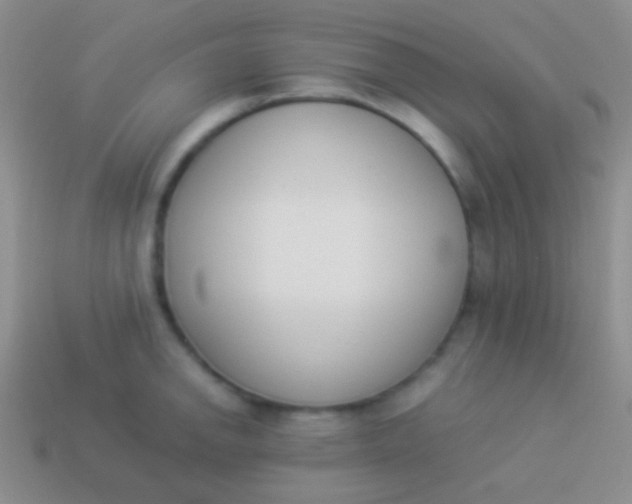X0000114231142200910231458