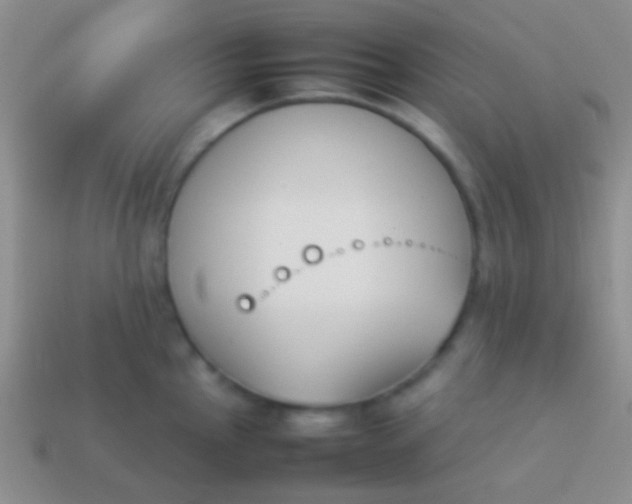 X0000114231145200910231458