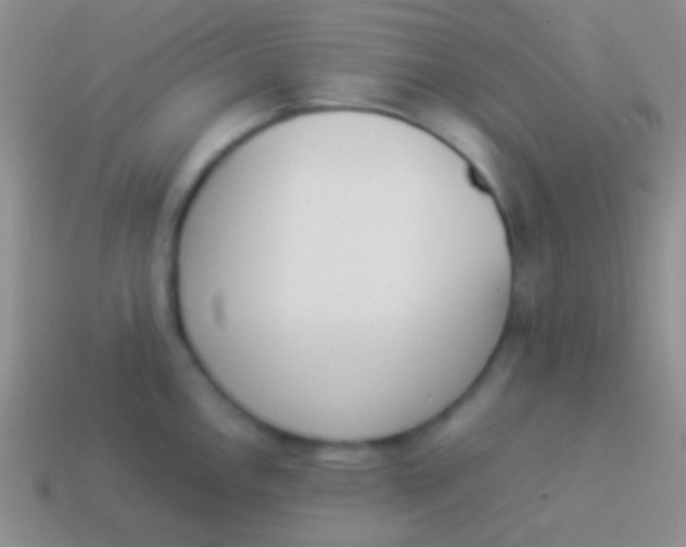 X0000114231146200910231458