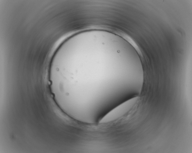 X0000114231148200910231458