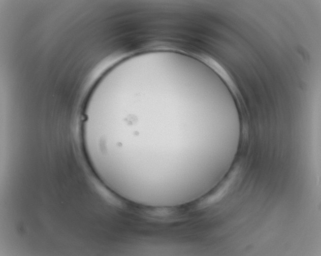 X0000114231149200910231458
